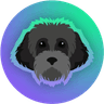Currency icon