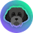 Currency icon