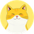 Currency icon