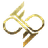 Currency icon