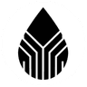 Currency icon