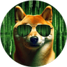 Currency icon