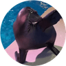 Currency icon