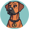 Currency icon