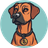 Currency icon