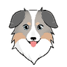 Currency icon