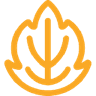 Currency icon