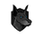 Currency icon