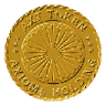 Currency icon