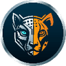 Currency icon