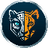 Currency icon