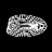 Currency icon