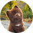 Currency icon