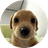Currency icon