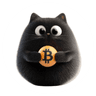 Currency icon