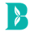 Currency icon