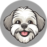Currency icon