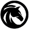 Currency icon