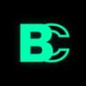 Currency icon