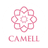 Currency icon
