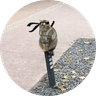 Currency icon