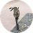 Currency icon
