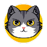 Currency icon