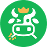 Currency icon
