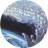 Currency icon