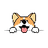 Currency icon