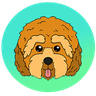 Currency icon