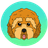 Currency icon