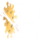 Currency icon