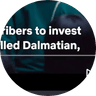 Currency icon