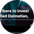 Currency icon
