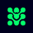 Currency icon