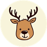 Currency icon