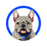 Currency icon