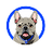 Currency icon