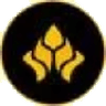 Currency icon