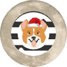 Currency icon