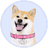 Currency icon