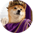 Currency icon