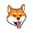 Currency icon