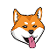 Currency icon