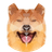 Currency icon