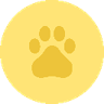 Currency icon