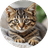 Currency icon
