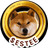 Currency icon