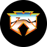 Currency icon
